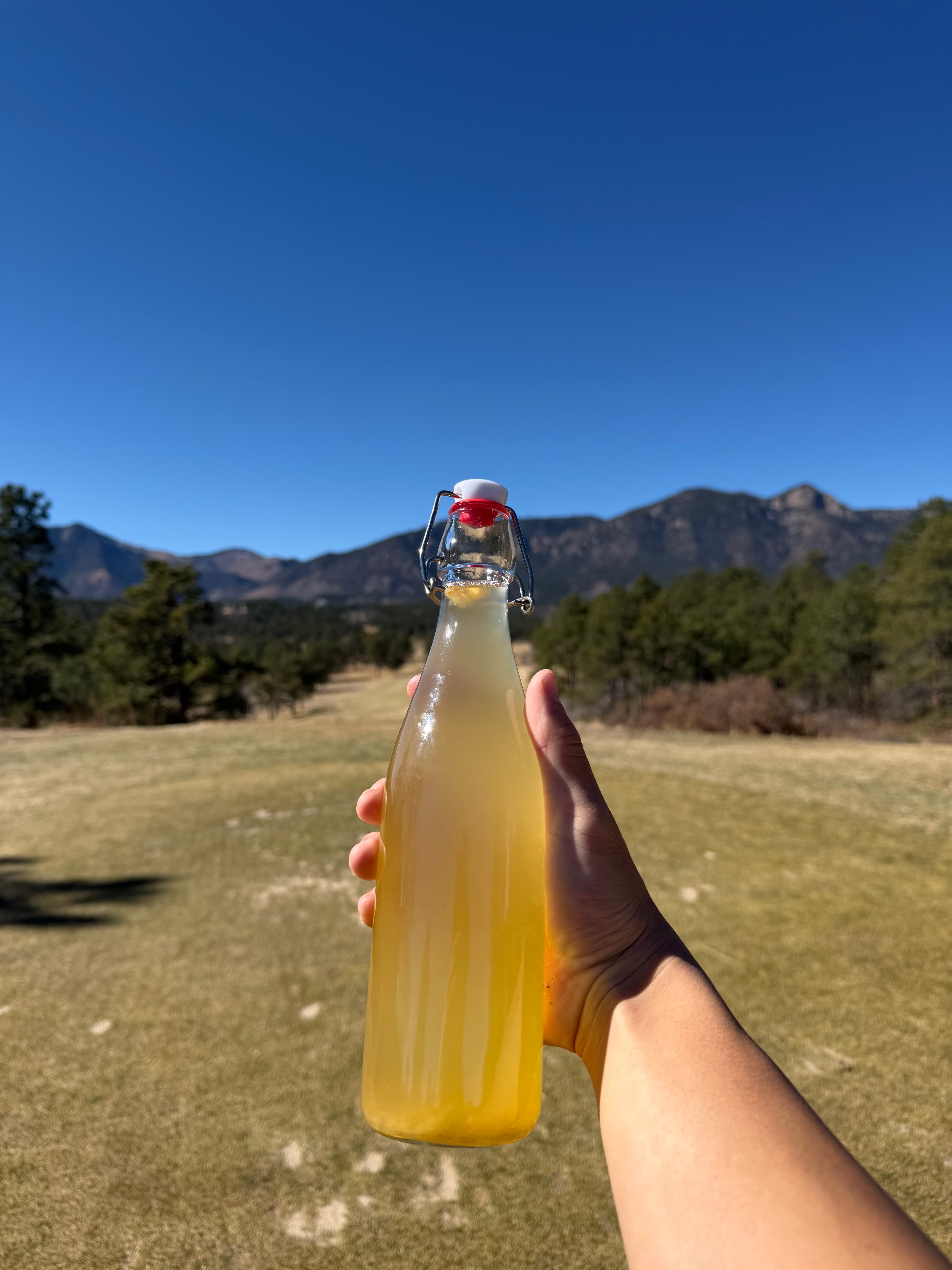 Nebula Mist yellow bottle held up against the Colorado mountains